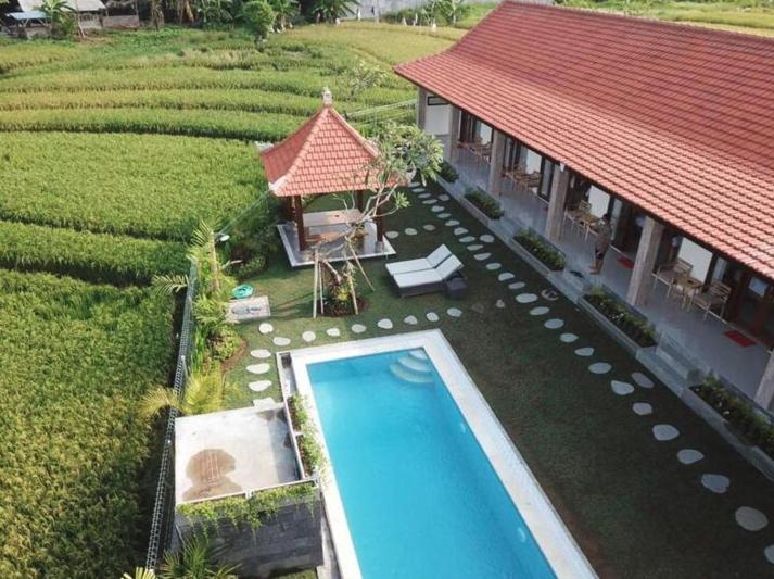 Rara Guesthouse Canggu Buitenkant foto
